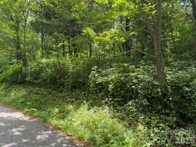 Lot 33 Toi Trail 33, Maggie Valley, NC 28751
