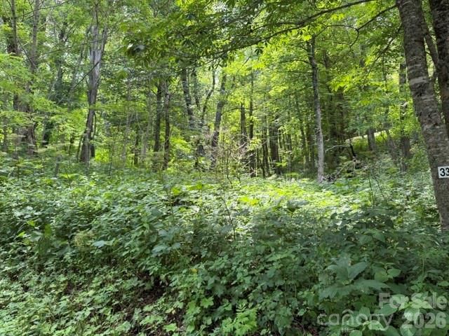 Lot 33 Toi Trail 33, Maggie Valley, NC 28751