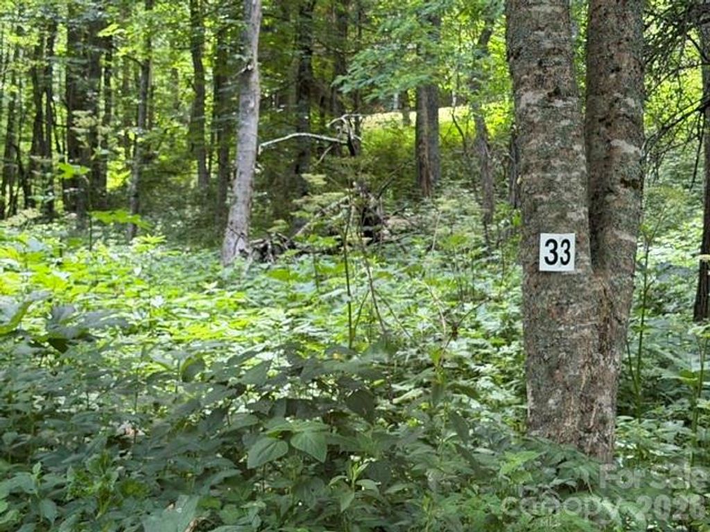 Lot 33 Toi Trail 33, Maggie Valley, NC 28751