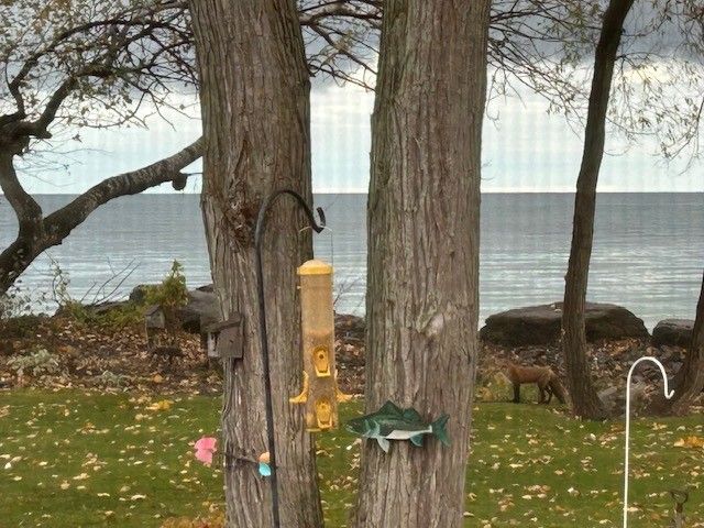 7296 Sandy Shore Drive, Hamlin, NY 14464