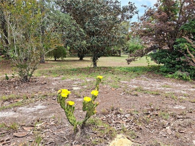 4295 N BRIDGER DRIVE, Beverly Hills, FL 34465