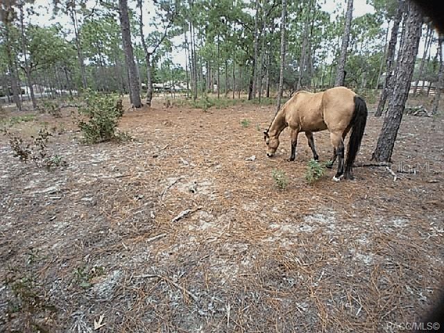 4295 N BRIDGER DRIVE, Beverly Hills, FL 34465