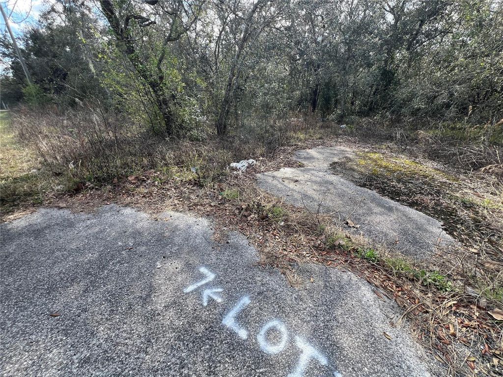 LOT 7 HAYS RD, Hudson, FL 34669