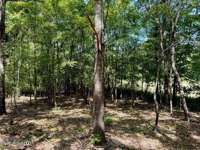 First Street, Flora, MS 39071