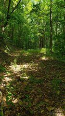 1111 E Clubhouse Road, Sylva, NC 28779