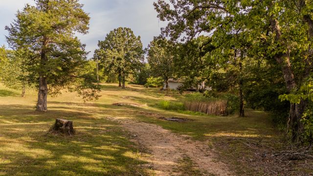 7804 S State Highway 125, Protem, MO 65733