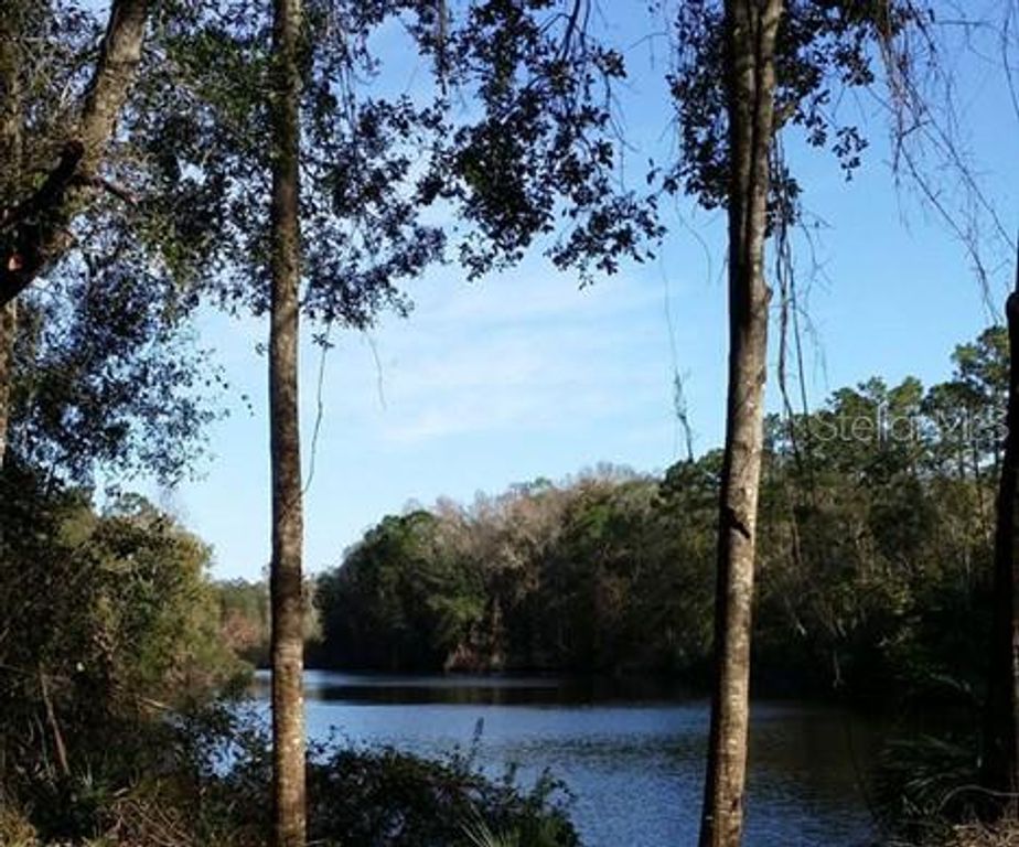 Image 29 of property listing at 4414 VENICE DRIVE, Land O Lakes, FL 34639