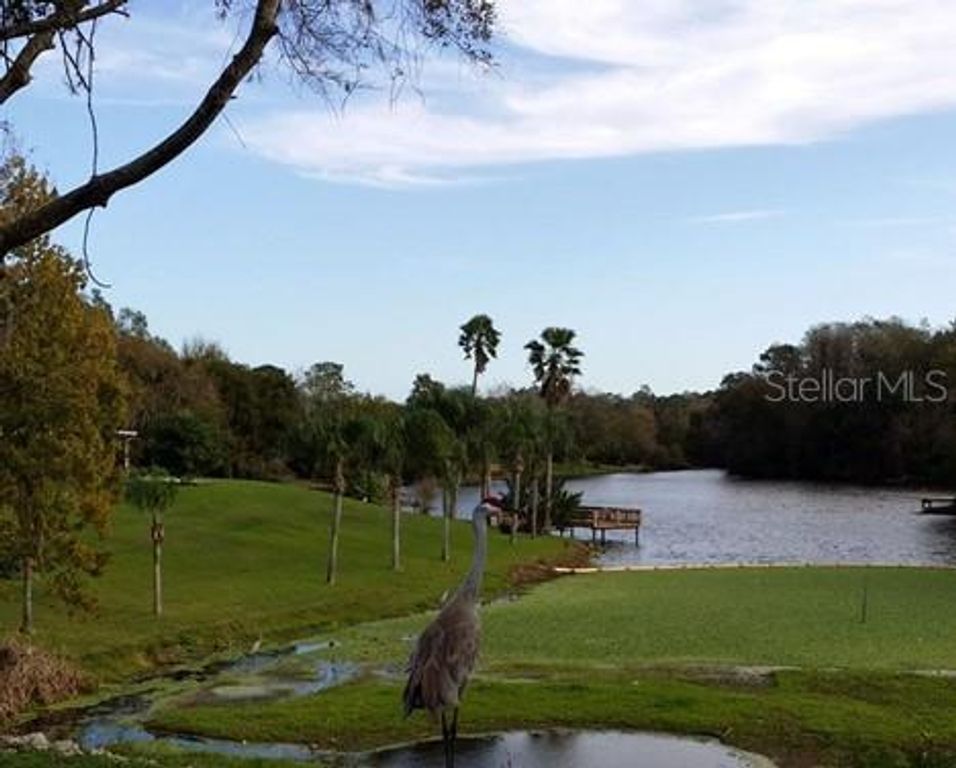 Image 30 of property listing at 4414 VENICE DRIVE, Land O Lakes, FL 34639