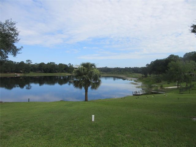 16849 SE 59TH PLACE, Ocklawaha, FL 32179