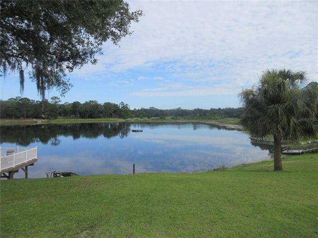 16849 SE 59TH PLACE, Ocklawaha, FL 32179