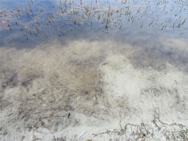 16849 SE 59TH PLACE, Ocklawaha, FL 32179