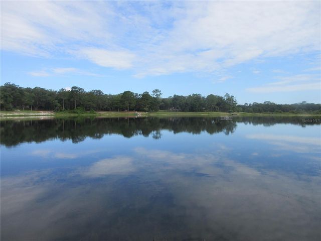 16849 SE 59TH PLACE, Ocklawaha, FL 32179
