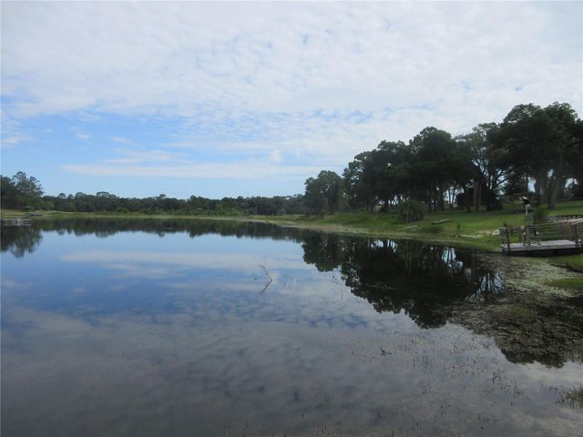 16849 SE 59TH PLACE, Ocklawaha, FL 32179