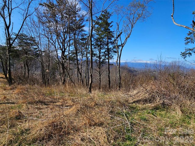 989 High Rock View Drive, Canton, NC 28716