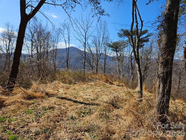 989 High Rock View Drive, Canton, NC 28716