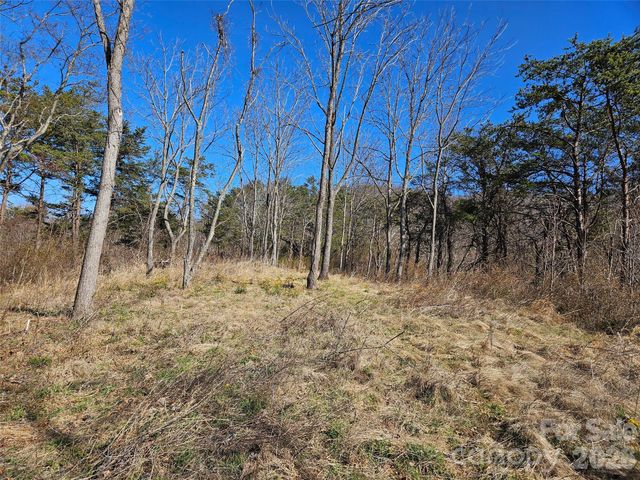 989 High Rock View Drive, Canton, NC 28716