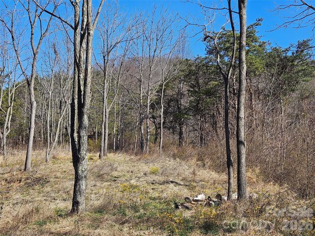 989 High Rock View Drive, Canton, NC 28716