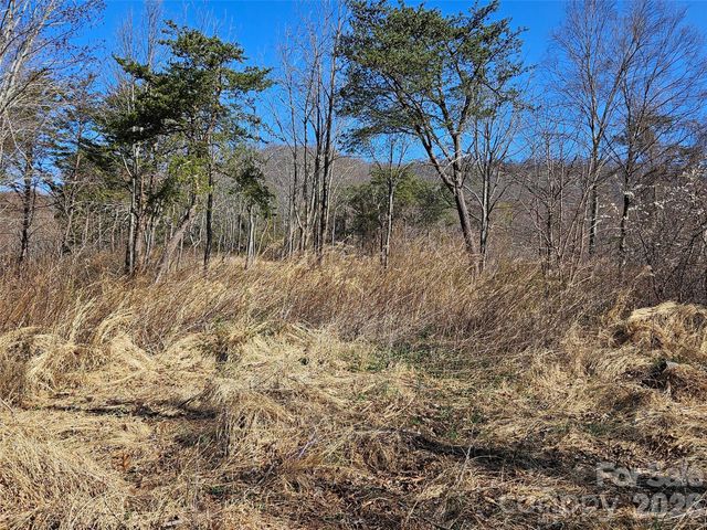 989 High Rock View Drive, Canton, NC 28716