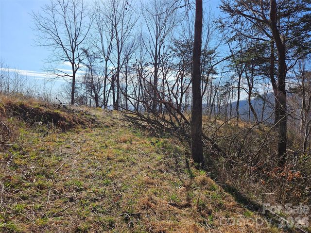 989 High Rock View Drive, Canton, NC 28716