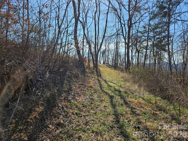 989 High Rock View Drive, Canton, NC 28716