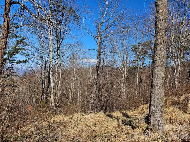 989 High Rock View Drive, Canton, NC 28716