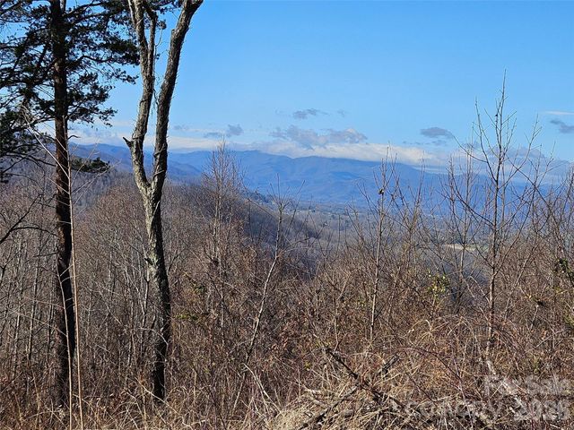 989 High Rock View Drive, Canton, NC 28716