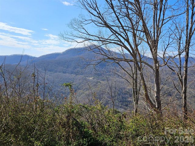 989 High Rock View Drive, Canton, NC 28716