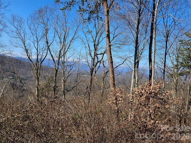 989 High Rock View Drive, Canton, NC 28716