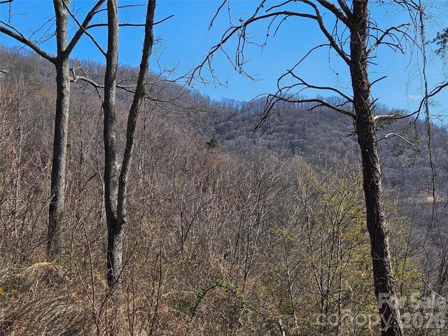 989 High Rock View Drive, Canton, NC 28716