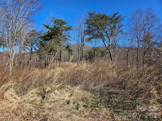 989 High Rock View Drive, Canton, NC 28716