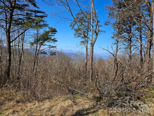 989 High Rock View Drive, Canton, NC 28716