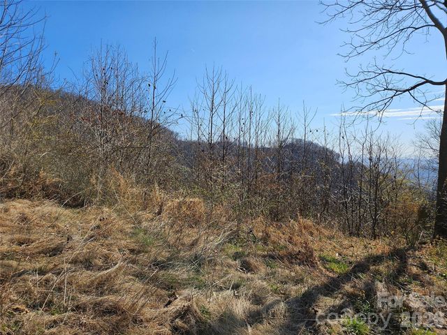 989 High Rock View Drive, Canton, NC 28716