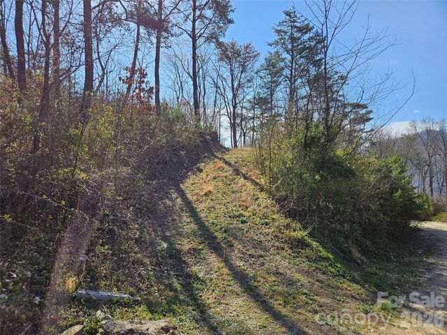 989 High Rock View Drive, Canton, NC 28716