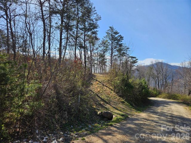 989 High Rock View Drive, Canton, NC 28716