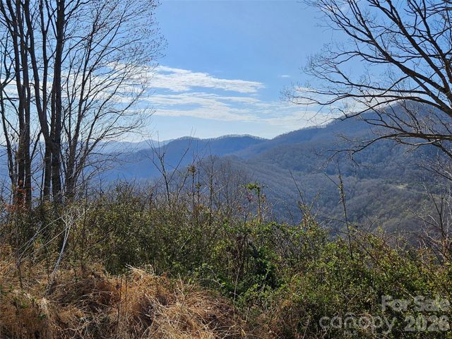 989 High Rock View Drive, Canton, NC 28716
