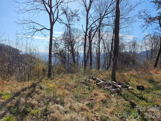 989 High Rock View Drive, Canton, NC 28716
