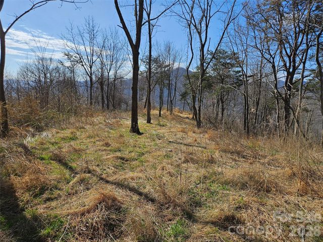989 High Rock View Drive, Canton, NC 28716