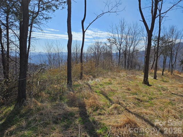 989 High Rock View Drive, Canton, NC 28716