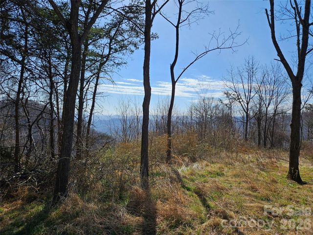 989 High Rock View Drive, Canton, NC 28716