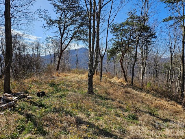 989 High Rock View Drive, Canton, NC 28716