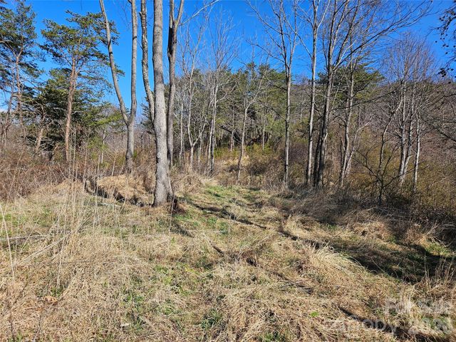 989 High Rock View Drive, Canton, NC 28716