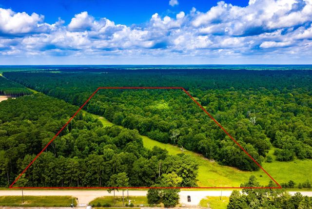 TRACT 11 Pelican Road, Shepherd, TX 77371