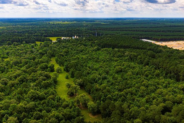 TRACT 11 Pelican Road, Shepherd, TX 77371