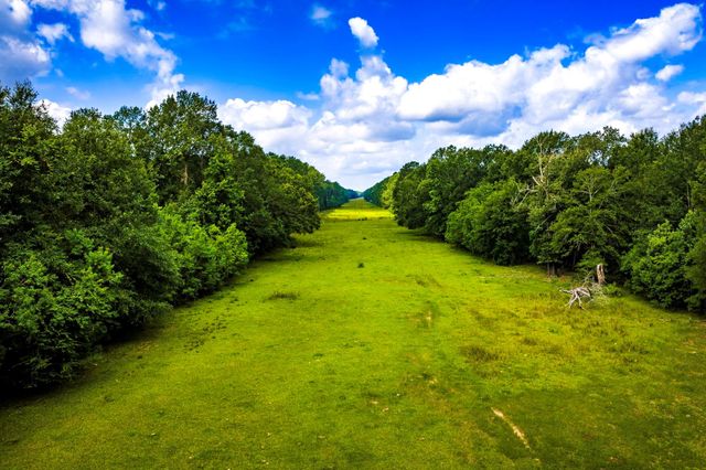 TRACT 11 Pelican Road, Shepherd, TX 77371
