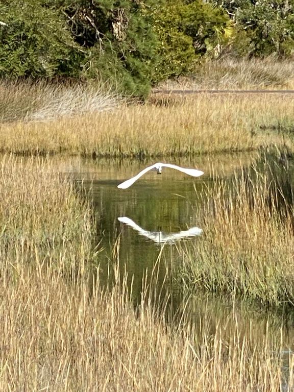 Image 33 of property listing at 4020 Marshwalk Trace 1, Seabrook Island, SC 29455