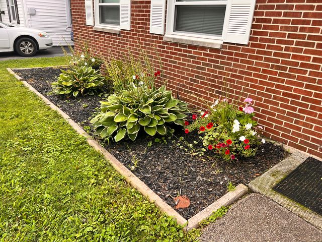 1223 Albemarle Road 1223 Albemarle Road, Springfield, OH 45504