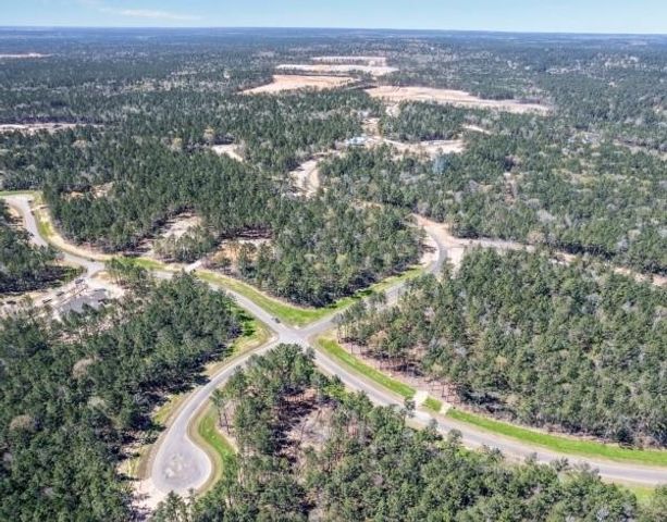 7520 Sowell Street, Montgomery, TX 77316