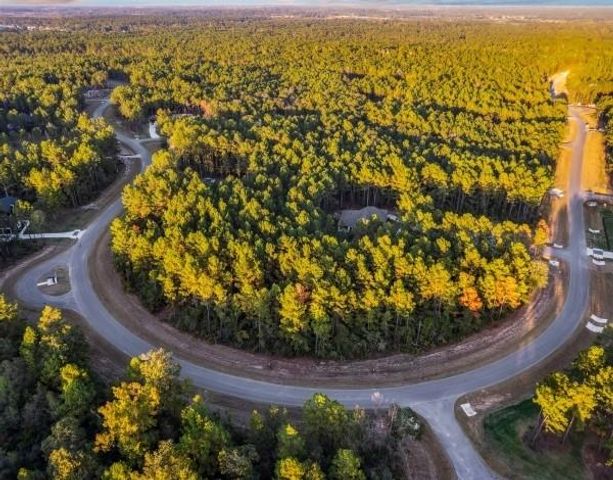 7520 Sowell Street, Montgomery, TX 77316