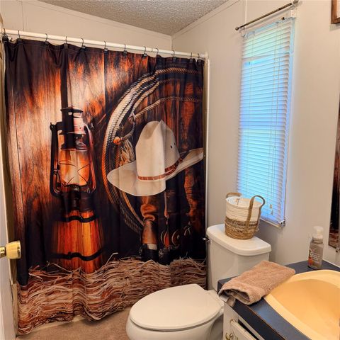 270 Fitzgerald Lane, Livingston, TX 77351