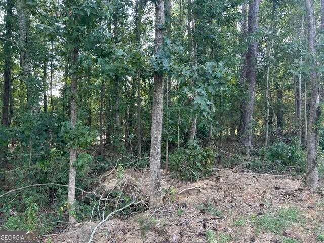 430 Winged Foot Drive, Mcdonough, GA 30253